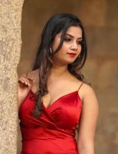 call girl service in Goharganj